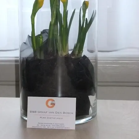 Graaf Van Den Bosch Bed & Breakfast